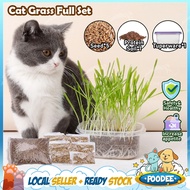 POODEE Pets Eco-friendly Catnip Grass Cat Grass Rumput Kucing Natural Catnip Kucing Snack Relax Main