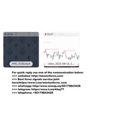 Nora Bystra - Supply and Demand Course