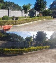 割草/鋸樹/社區花樹修剪/農地果園修枝