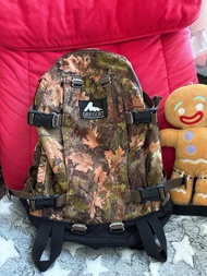 Gregory DayPack Cottonwood CAMO 22L backpack黃葉迷彩尼龍拉鍊背囊背包