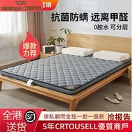 A52112可摺疊床褥 乳膠椰棕床褥 椰棕床墊 單人床褥 雙人床褥 榻榻米床墊 包送貨