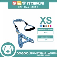 Doggo Atlanta Strong Harness and Leash Set Extra Small Size (Blue)