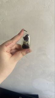 帕罌