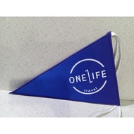 Custom Travel Flag/Custom Printed Travel Flag/Triangle Tour Flag