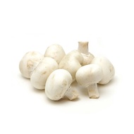 White Button Mushroom