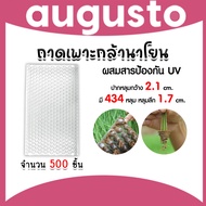 ถาดเพาะกล้านาโยน 434 หลุม แพ็ค 500 ชิ้น ถาดเพาะกล้า ถาดเพาะนาโยน เพาะกล้านาโยน กล้านาโยน ถาดนาโยน ถา