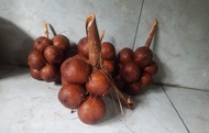 Salak Bali ASLI Super Quality Salak Sortiran Gede -Gede Rasa Asem manis Sepet 1kg