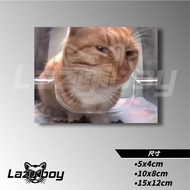 Cat Feeding Orange Cat Memes Cat Slaves Car Stickers Stickers Waterproof Stickers Laptop Stickers Lo