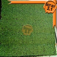 BestBuy 2.1 Shop Artificial Grass Carpet 40CM x 40CM