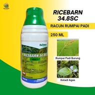 Ricebarn 34.8SC Herbicide Racun Rumpai Padi Racun Rumput Keladi Agas Racun Rumput Rusiga Emas Racun Padi Burung