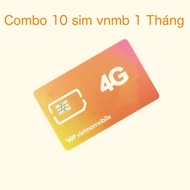 Combo 10 sim Vietnamobile hạn 1 tháng