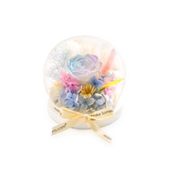 FarEastFlora.com - Preserved Rose - Ethereal Glow - ZJ01
