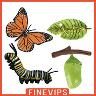 Finevips Simulation Life Cycle Figures Toy for Kids Teacher