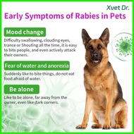 ◰ ✷ Xvet Dr Dog and Cat Test Kit RBV Test Paper Rabies Virus Rapid Test Kit For Dog and Cat