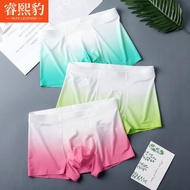 Warehouse No. 4 Men's Ice Silk Underwear Thin Boxer Briefs Dopamine Gradient Mulberry Antibacterial 