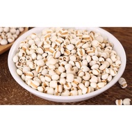 Kurang Gemuk Air Barley Chinese Barley Barley Barley Barley Barley Barley Raw Barley Remove Edema