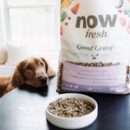 【狗主食】now 鮭魚 中型成犬 高湯天然糧 乾濕兩吃 狗飼料 狗糧