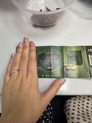 Haagen-Dazs 雪糕月餅