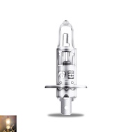 Bóng đèn OEM H1 24V 100W (1 bóng)