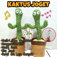 Dancing Cactus/Rocking Cactus/DANCING MUSIC Cactus