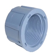 PVC Pipe Threaded Cap PVC Thread Cap 3/ 4 Inch 3/ 4IN