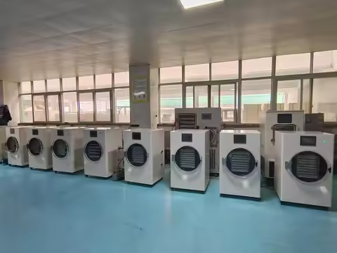 3kg 6kg 10kg 20kg Fruit Liofilizador Machine Competitive Price Automatic Vacuum Freeze Drying Equipm