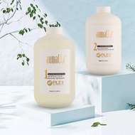 Armalla Plex intensive hair restoration set