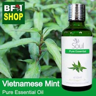 Pure Essential Oil (EO) - Mint - Mint ( Persicaria Odorata ) Essential Oil - 50ml