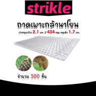 ถาดเพาะกล้านาโยน 434 หลุม แพ็ค 500 ชิ้น ถาดเพาะต้นข้าว ถาดเพาะนาโยน เพาะกล้าข้าว ถาดนาโยน ถาดเพาะกล