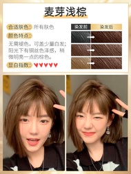 ครีมนวดผม Schwarzkopf Ash Brown ครีมนวดผมสีน้ำตาลเย็น สีผมธรรมชาติ ครีมนวดผมสีใหม่ เหมาะสำหรับผู้หญิ