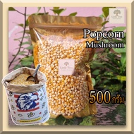 (ตรานกอินทรีย์ )(500กรัม) เมล็ดข้าวโพดดิบ เม็ดข้าวโพด Popcorn ป๊อปคอร์น ข้าวโพดคั่ว แบบ Mushroom มัชรูม เมล็ดกลมใหญ่ ป๊อบกลมสวย เกรดพรีเมี่ยม