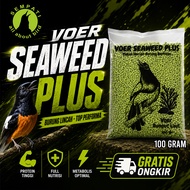 SEMPATI Voer Seaweed 100 Gram Plus Metabolis Perfect Blend Pur Kasar Rumput Laut Hijau Pakan Makanan