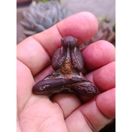 wood carved pidta tok raja style remakes.