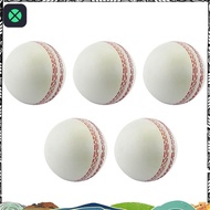 1F Sports Cricket, Training Cricket, Sports Wind Swing Rebound  Cricket, Elastic Decompression Ball 
