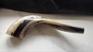 以色列號角Shofar trumpet