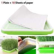 Germination Seedling Tray Wheatgrass Tray Microgreen Tray Hydroponic Aquaponic With 10pcs Paper