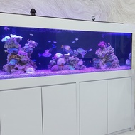 Aquarium Laut 180x60x60