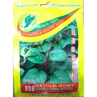 808 RED CEYLON SPINACH