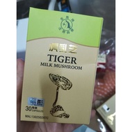 虎乳芝 Tiger Milk Mushroom (30 capsule)