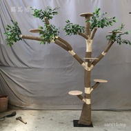 Kayu Pepejal Kucing Memanjat Bingkai Pokok Palsu Kayu Asli Pokok Mati Pokok Tiruan Ruang Tamu Intern