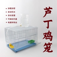 Rutin Chicken Coop Domestic Encryption Small Chicken Cage Automatic Drinking Iron Wire Galvanized Cage Breeding Rutin Chicken Special Egg Laying Cage
