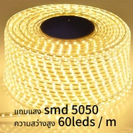 led Strip Light Eu Plug 220V Waterproof SMD 5050 60 led/m High Brightness Flexible Rope Indoor Decor
