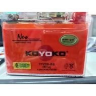 JAMINAN 6 BULAN BATERI MOTOSIKAL koyoko G1NANOGEL