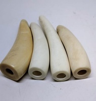 Once Iga duyung pucuk pipa kayu gaharu asli pipa kayu nagasari pipa once iga duyung asli