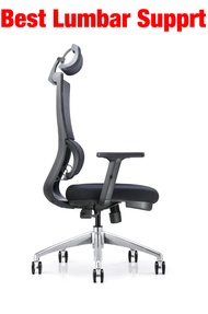 [Bulky] UMD New Design Ergonomic Mesh Office Chair with Improved Lumbar Support Z611