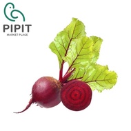 Beetroot 500G （ Ubi Bit Merah / 甜菜根 ）