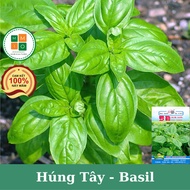Basil and basil seeds