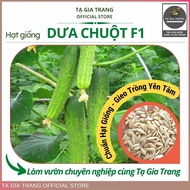 High yield F1 cucumber seeds (cucumber) - Ta Gia Trang seed Shop