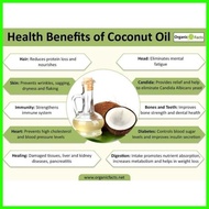▫ ✗ ├ VCO Virgin Coconut Oil For Dog 250ML Premium Coconut Oil For Dog Virgin Coconut Oil Food Supp