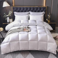 Down Quilt Comforters Five Star Hotel 95 White Goose Down Quilt Winter Warm Quilt Core Double Quilte